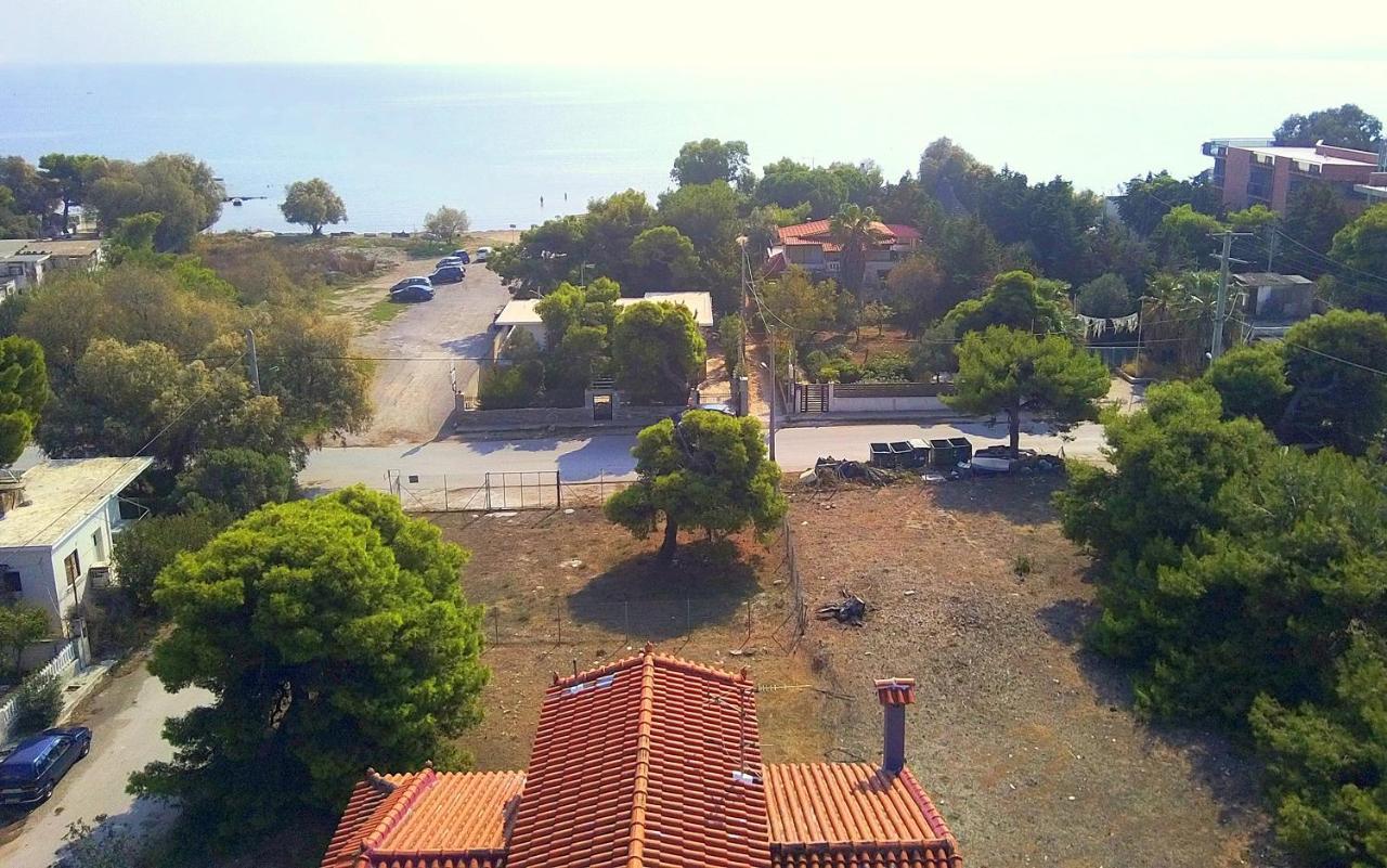 Augoustinos Silver - Sea Side Luxury Apartments Artemida  Exterior foto